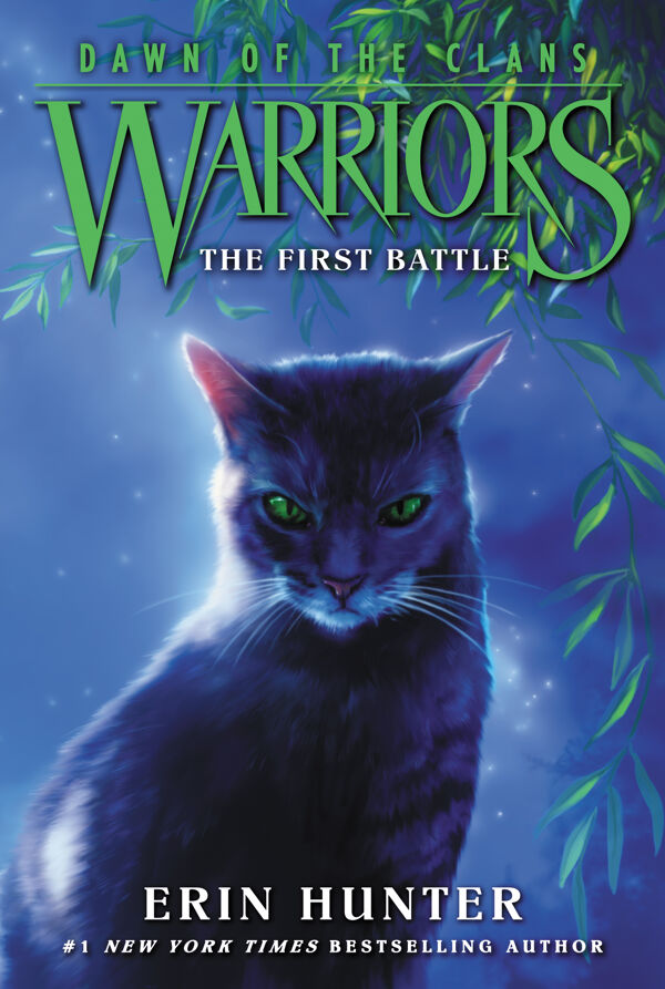 Warriors: A Warrior's Spirit by Erin Hunter, Paperback