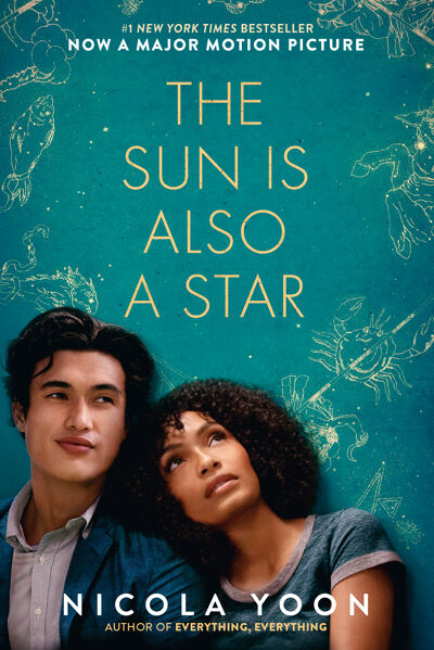 The Sun Is Also a Star book cover