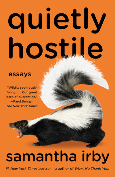 Quietly Hostile book cover