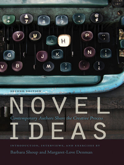 Novel Ideas book cover