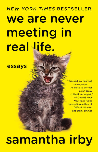 We Are Never Meeting in Real Life. book cover